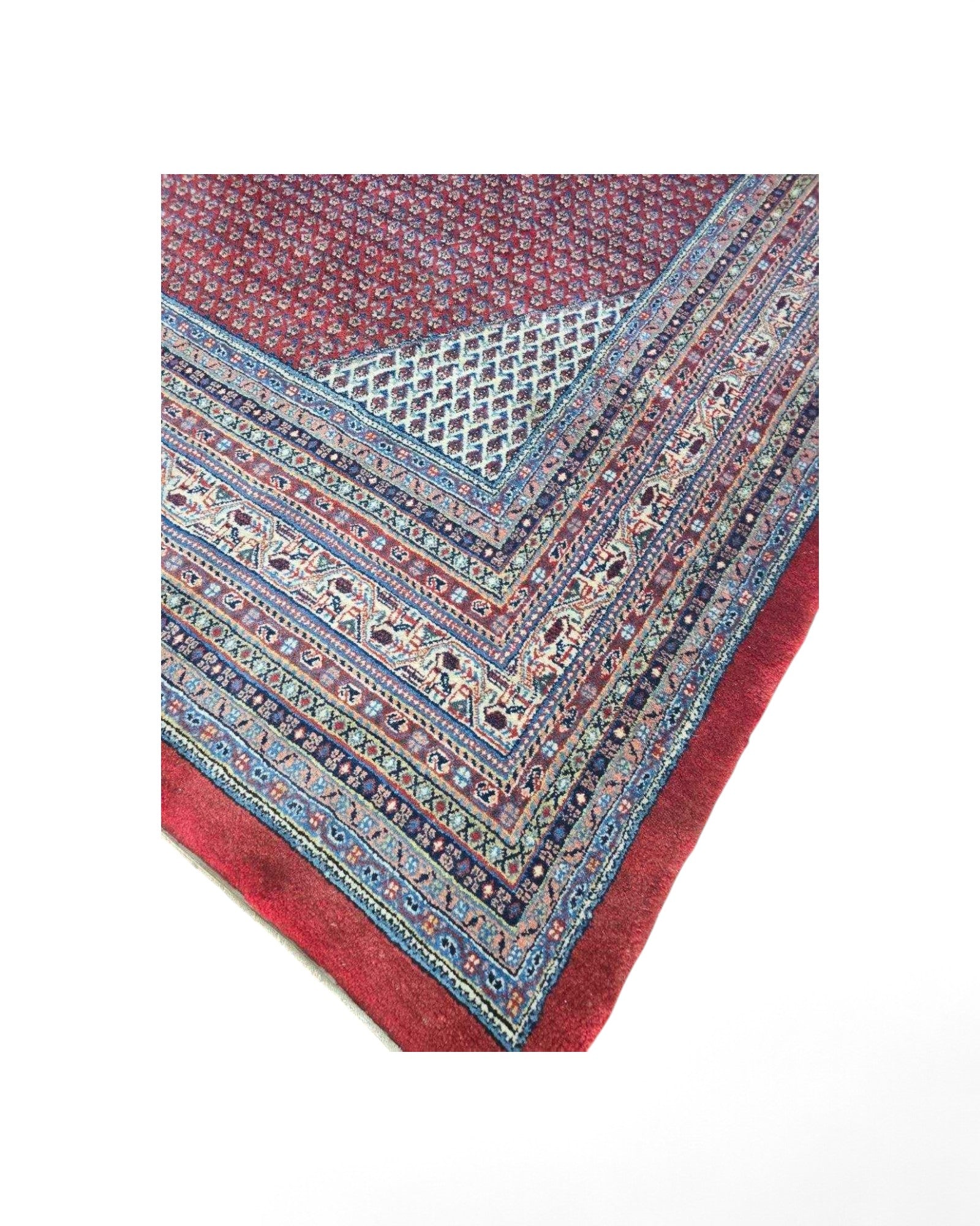 Oversized Persian Camel Border Rug | 350 x 450 cm