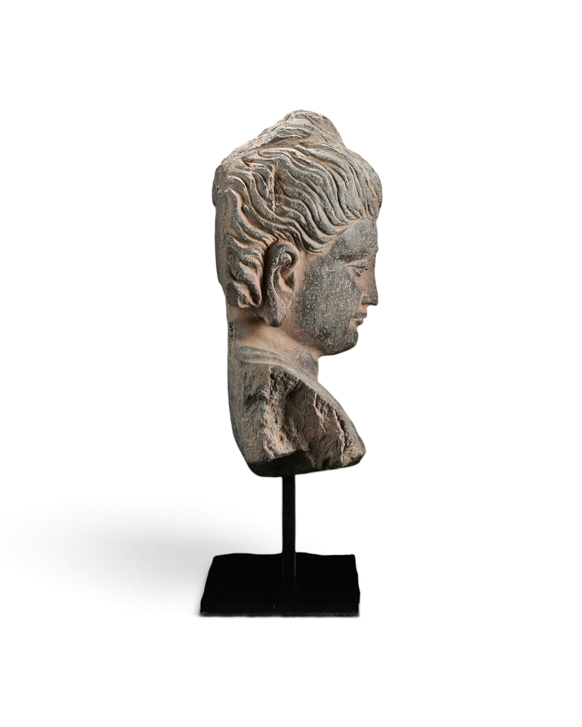Schist Stone Bust of the Gandhara Buddha