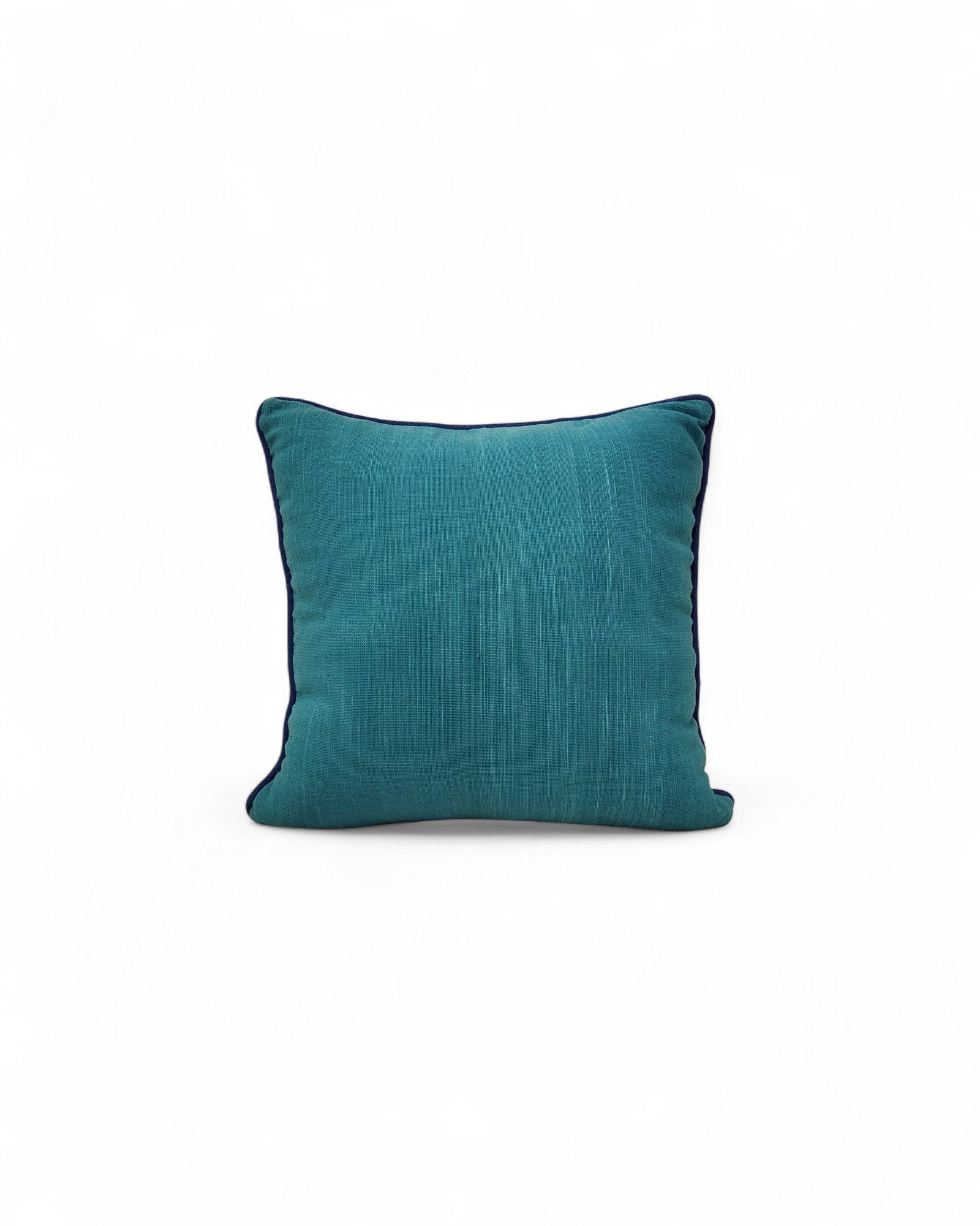 Hand Embroidered Burprestidae Cushion