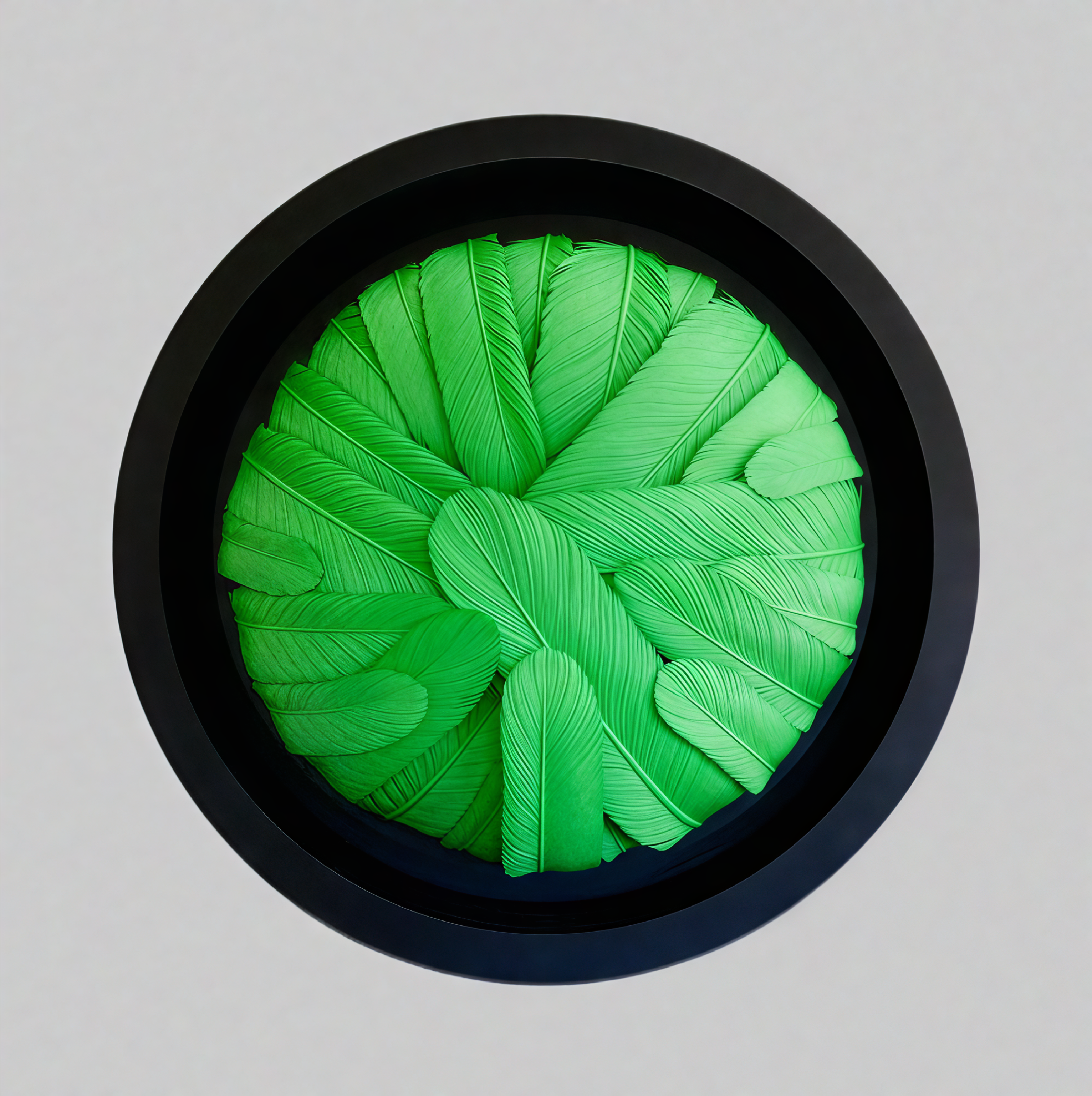 Feathers - 3D Artwork