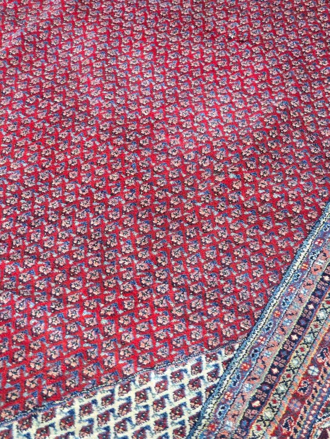 Oversized Persian Camel Border Rug | 350 x 450 cm