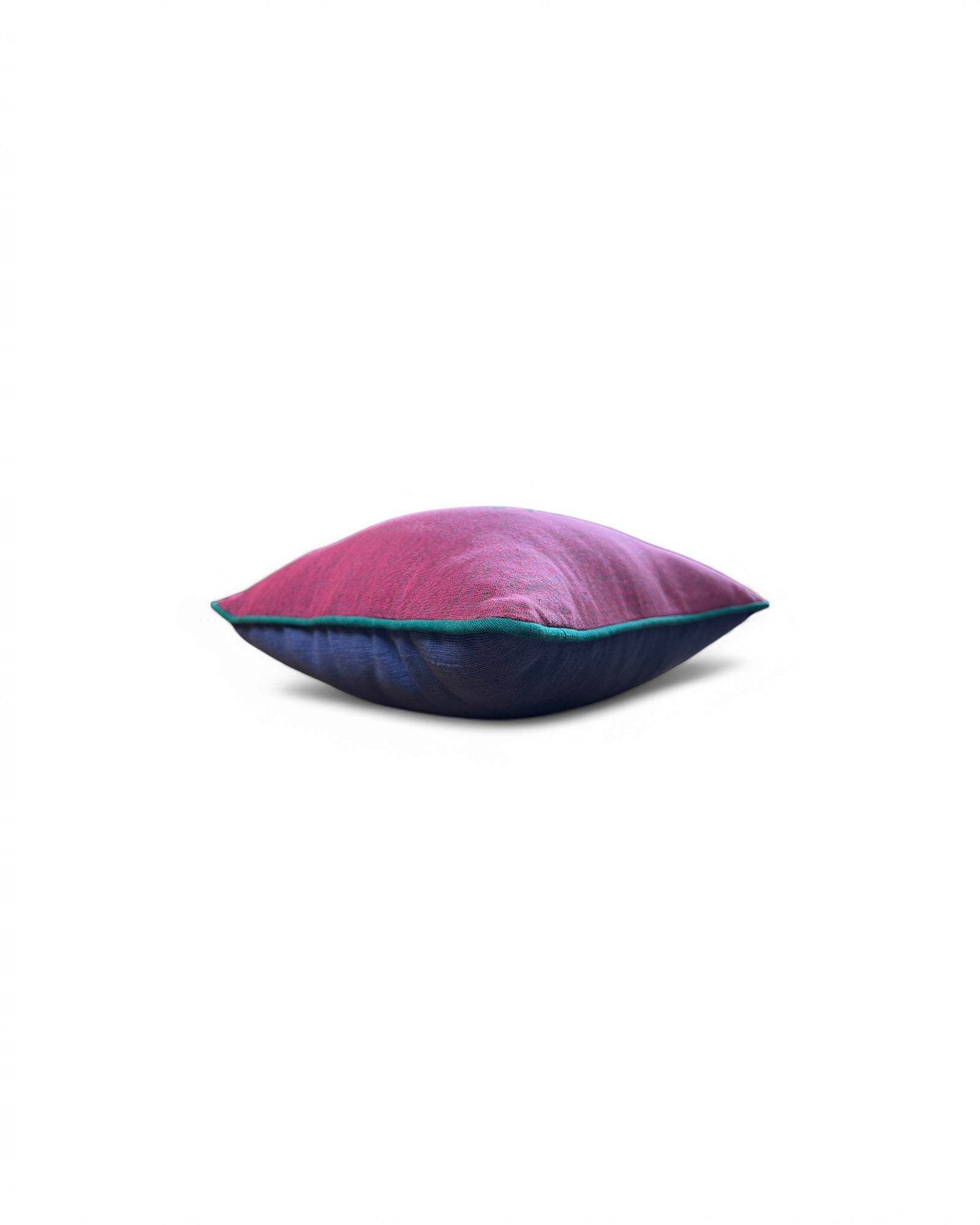 Hand Ebroidered Insect - Beatle (Purple and Blue)