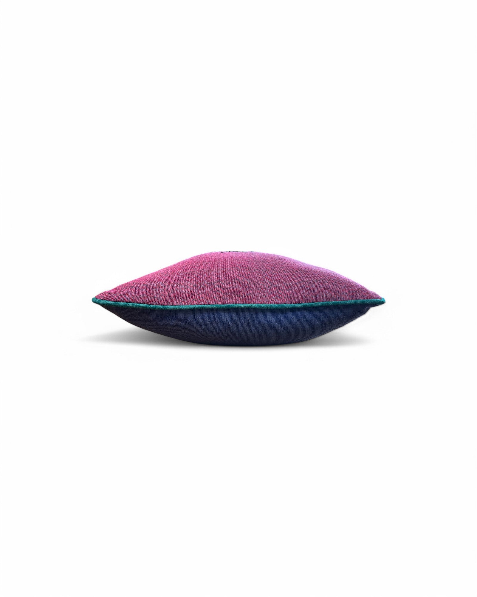 Hand Ebroidered Insect - Beatle (Purple and Blue)