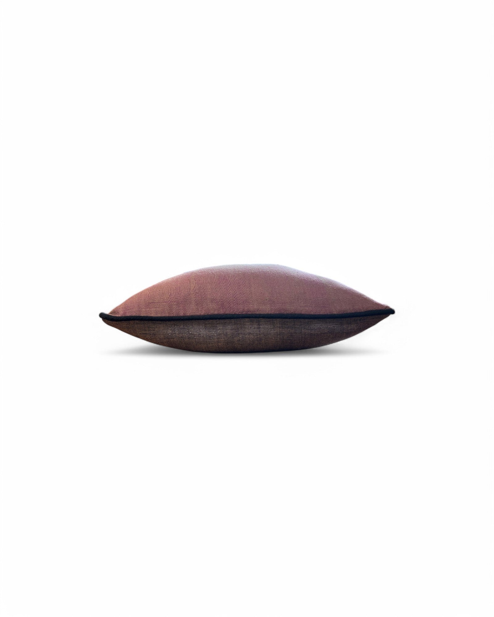 Hand Ebroidered Insect - Beatle (Brown and Brown, Black Lining)