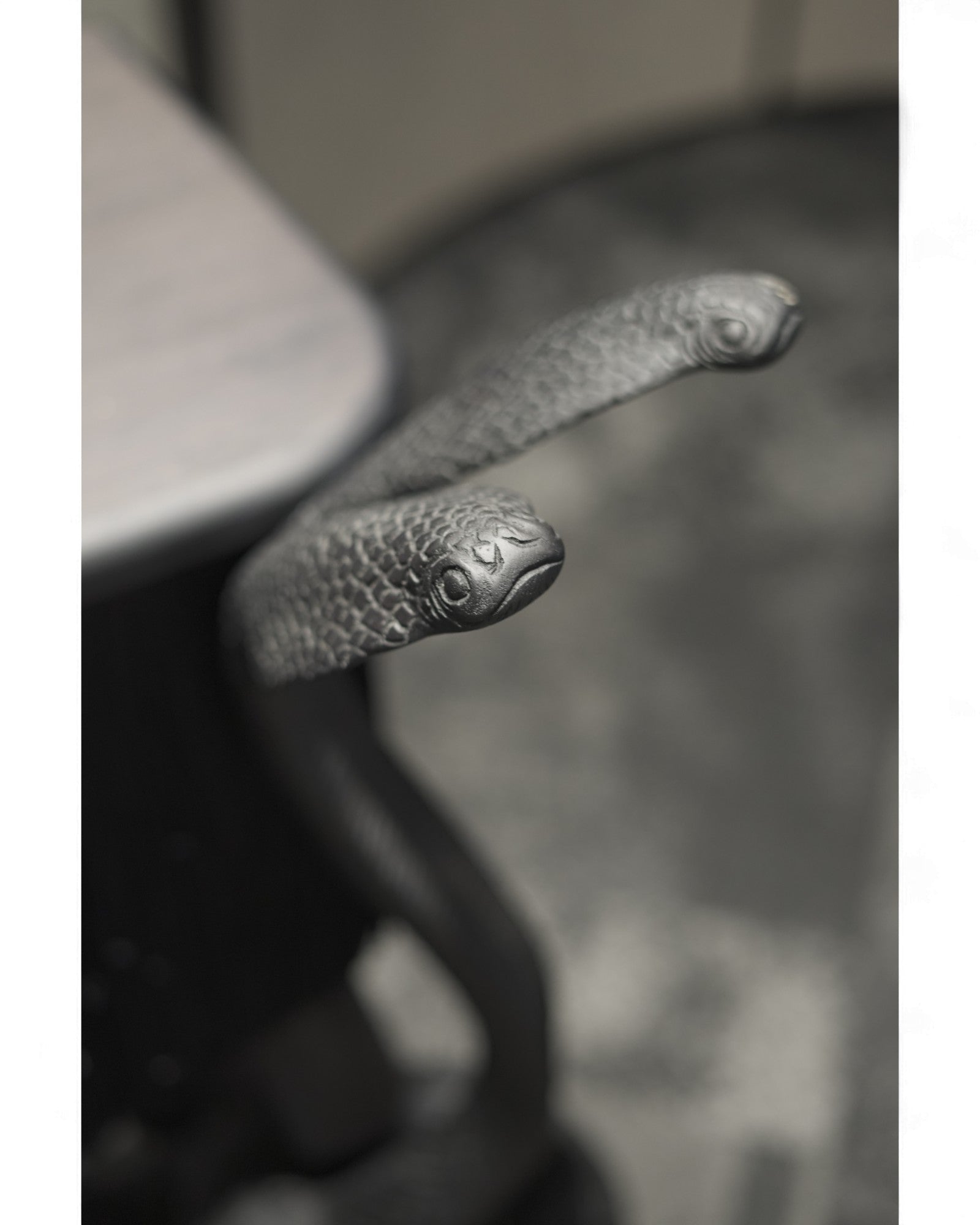 AMO ARTE — Serpent Cabinet