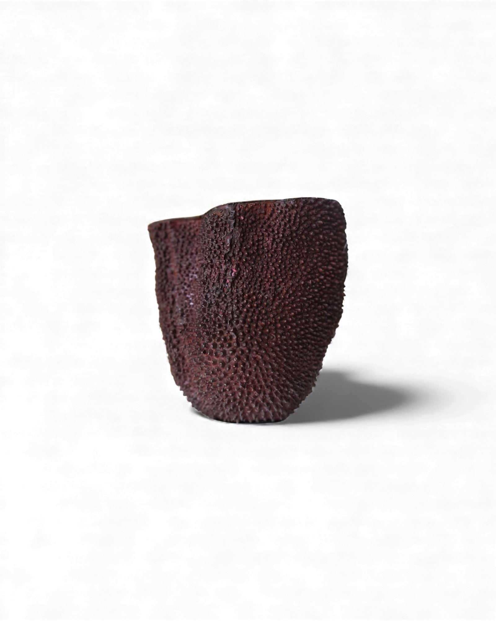 Limited ED. Jackfruit Vase No. 4 - Special Collection Surround Living