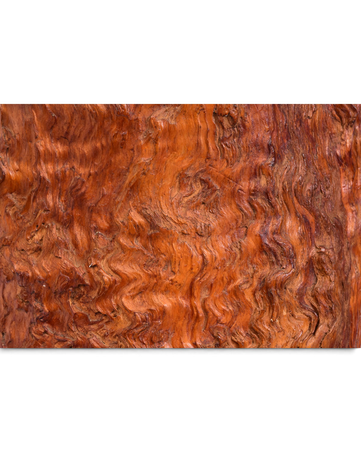 Japanese Large Burl Wood Hibachi Vessel