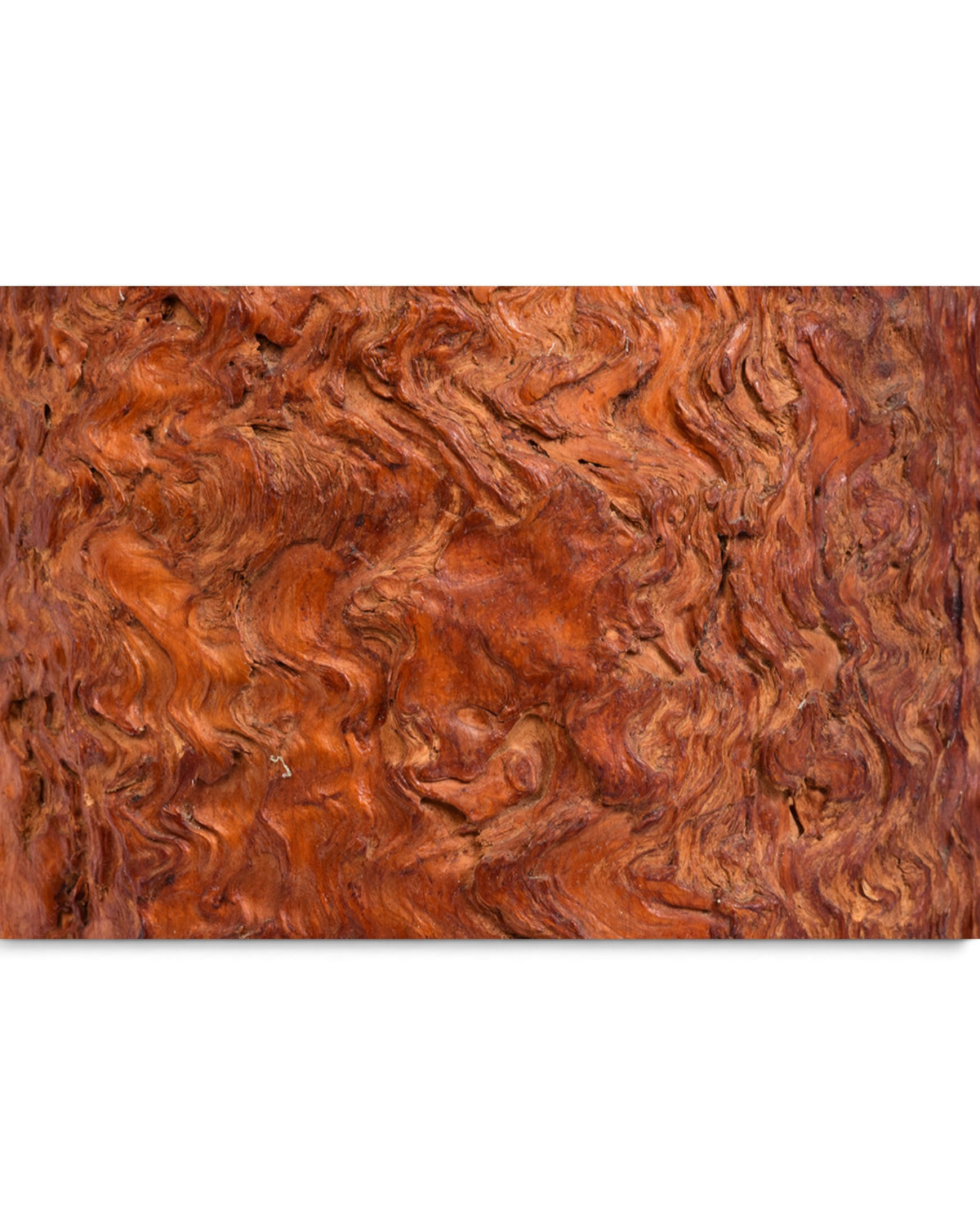 Japanese Large Burl Wood Hibachi Vessel