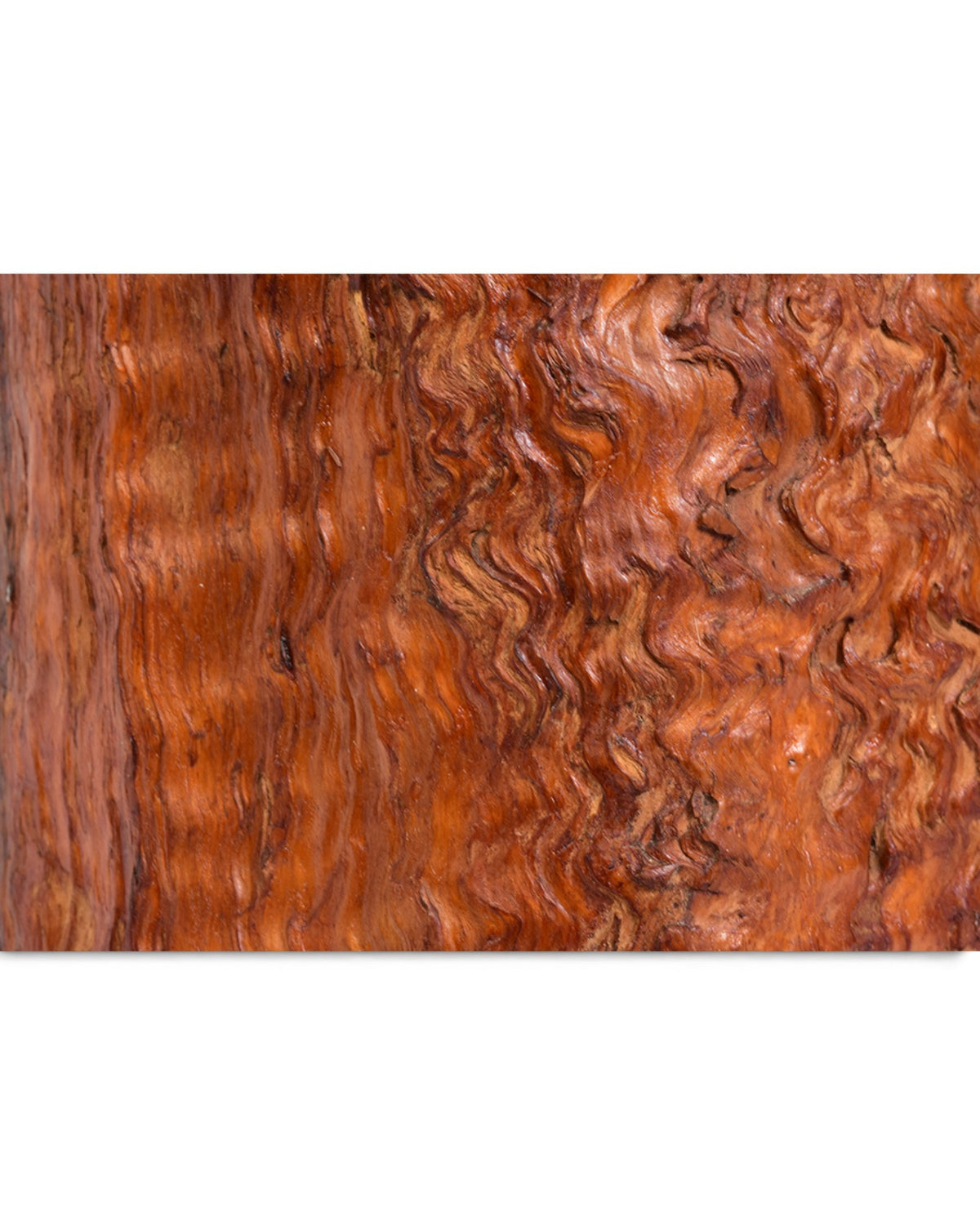 Japanese Large Burl Wood Hibachi Vessel
