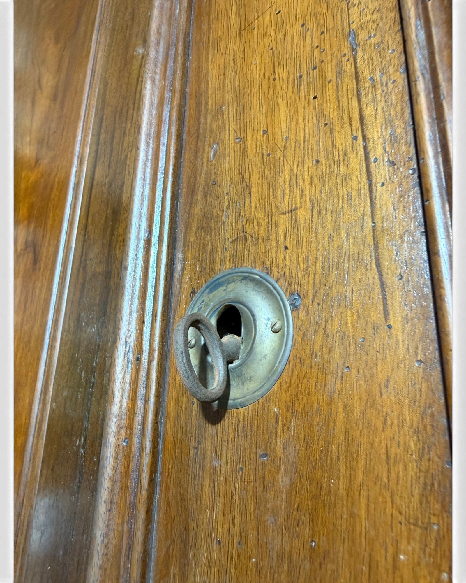 Charles X 1830s Solid Walnut Wardrobe