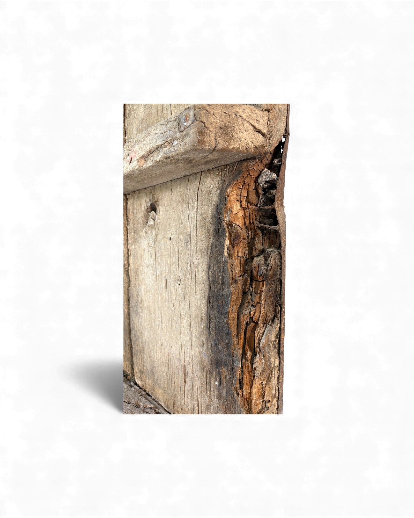 Antique Chinese Wooden Door Panel - Surround Living - 16