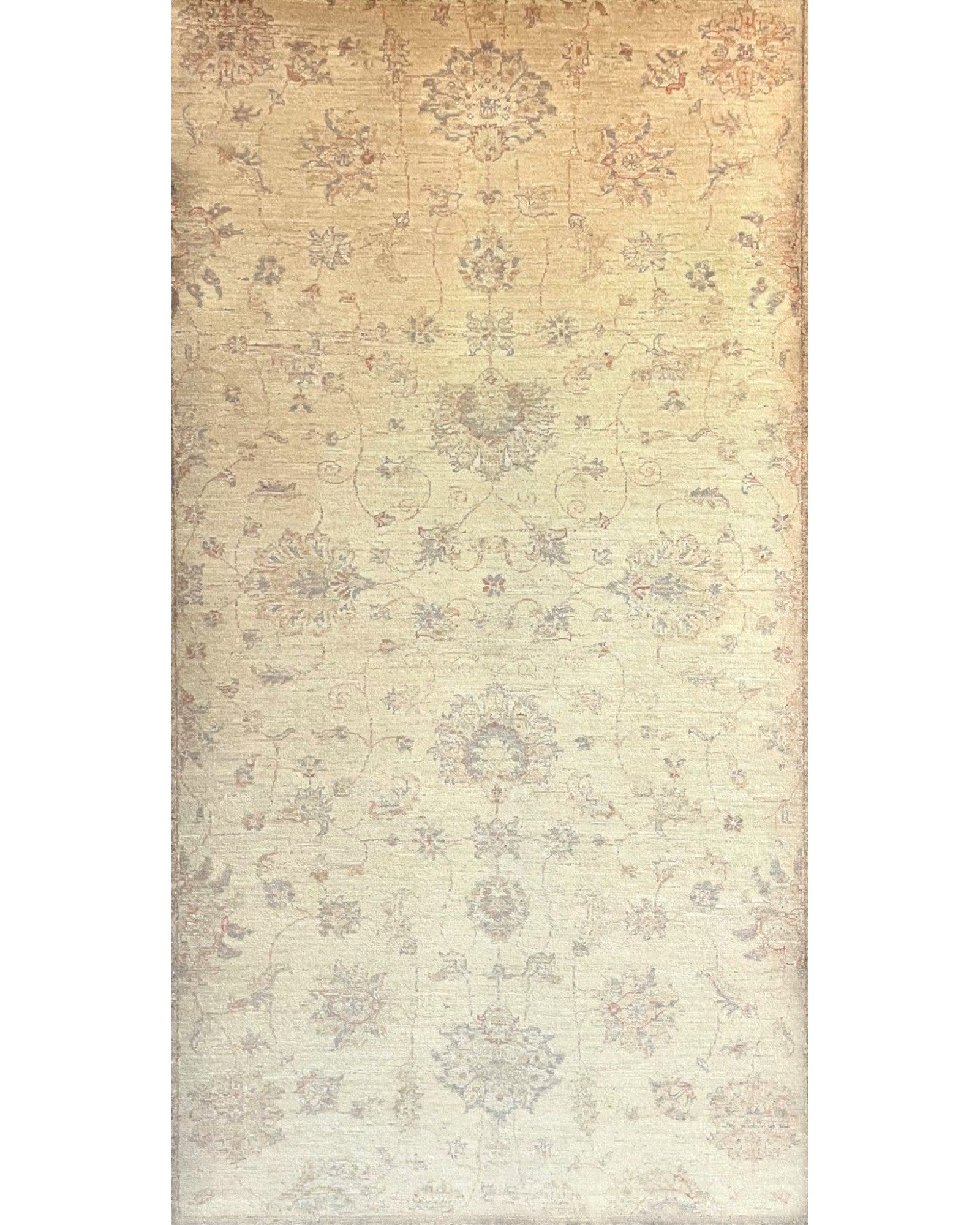 Ziegler Carpet l 273 x 184cm - Surround Living - 3