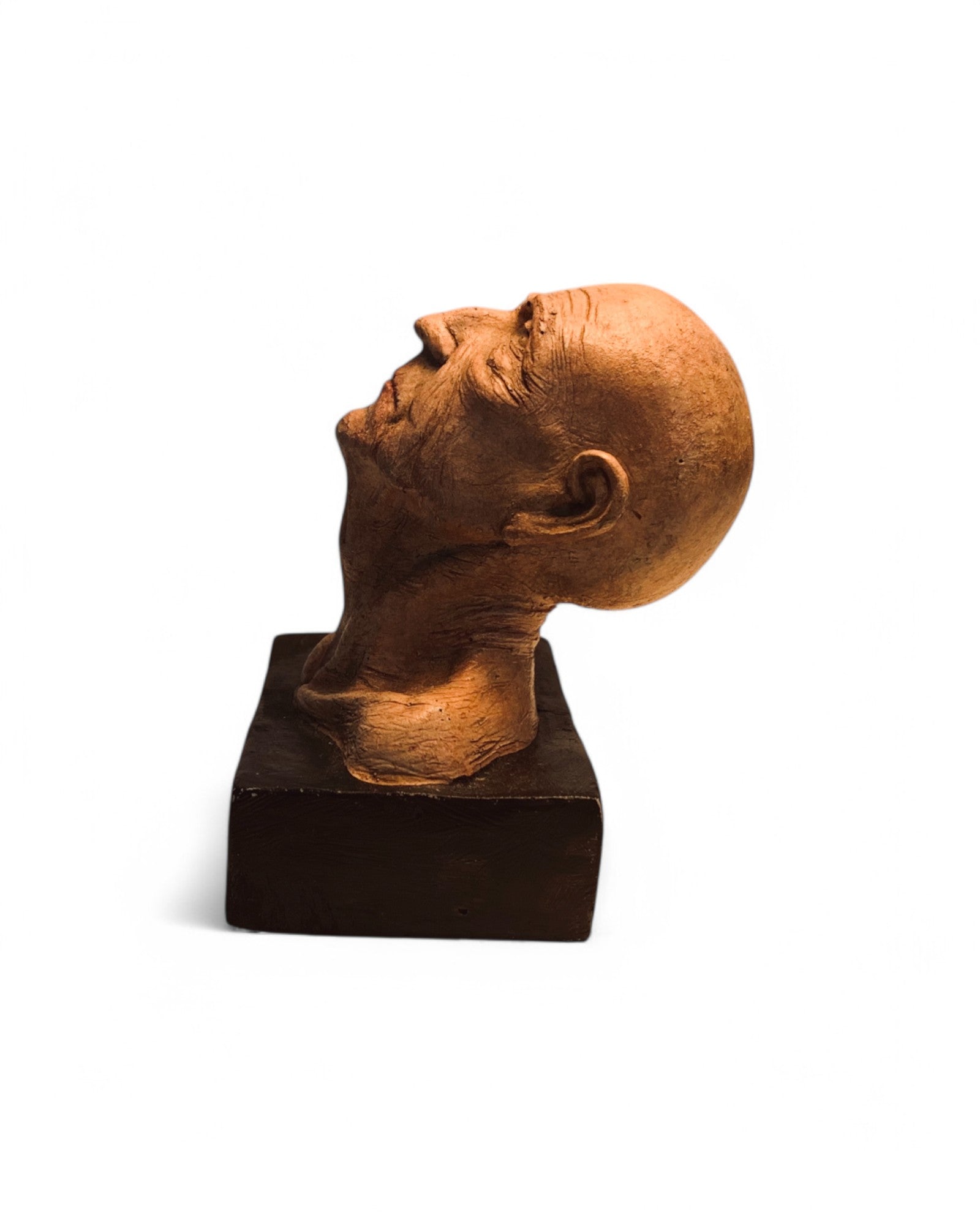 Head of Man 8cm/10cm
