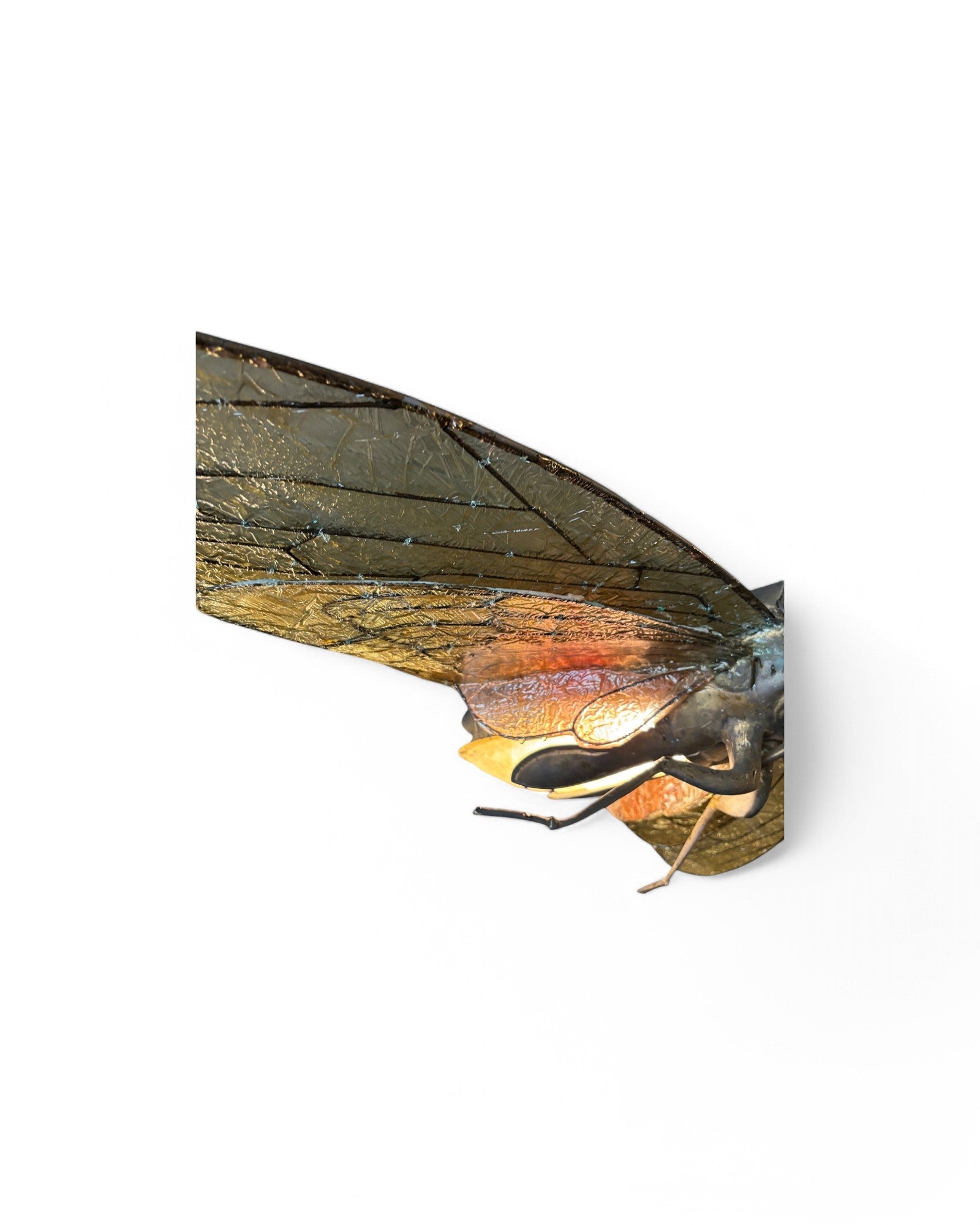 Cicada Sculpture Resin Ceiling Lamp
