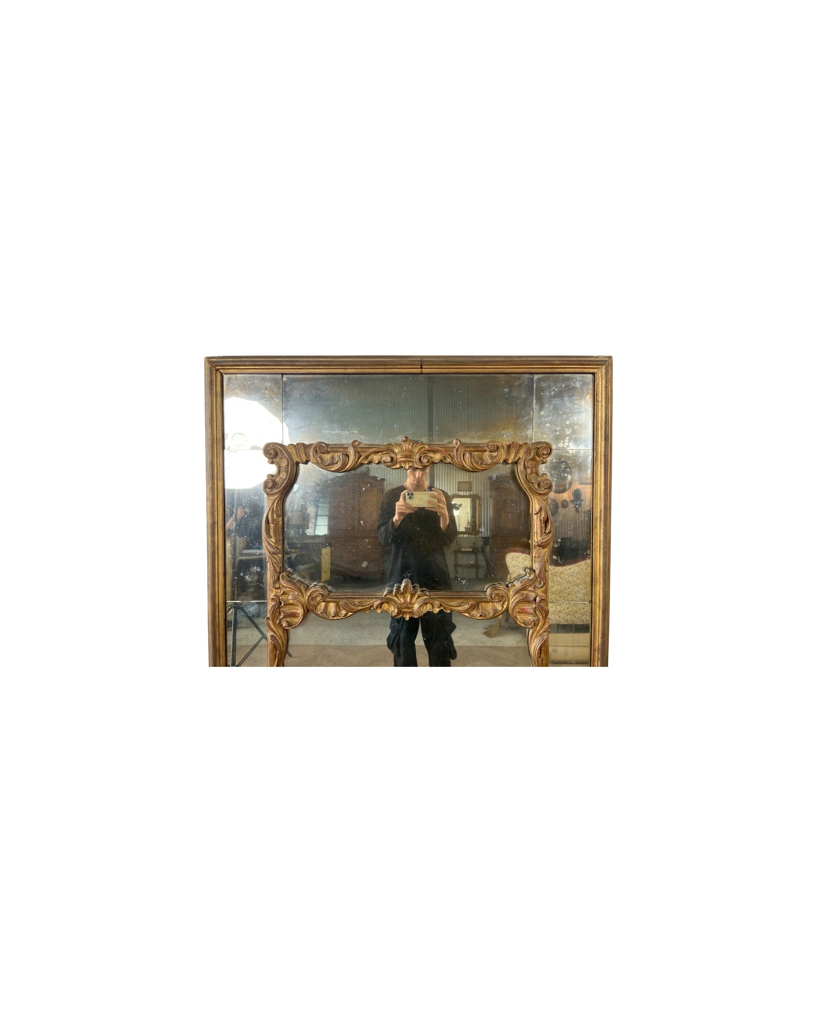 Trumeau Golden Paneled Mirror