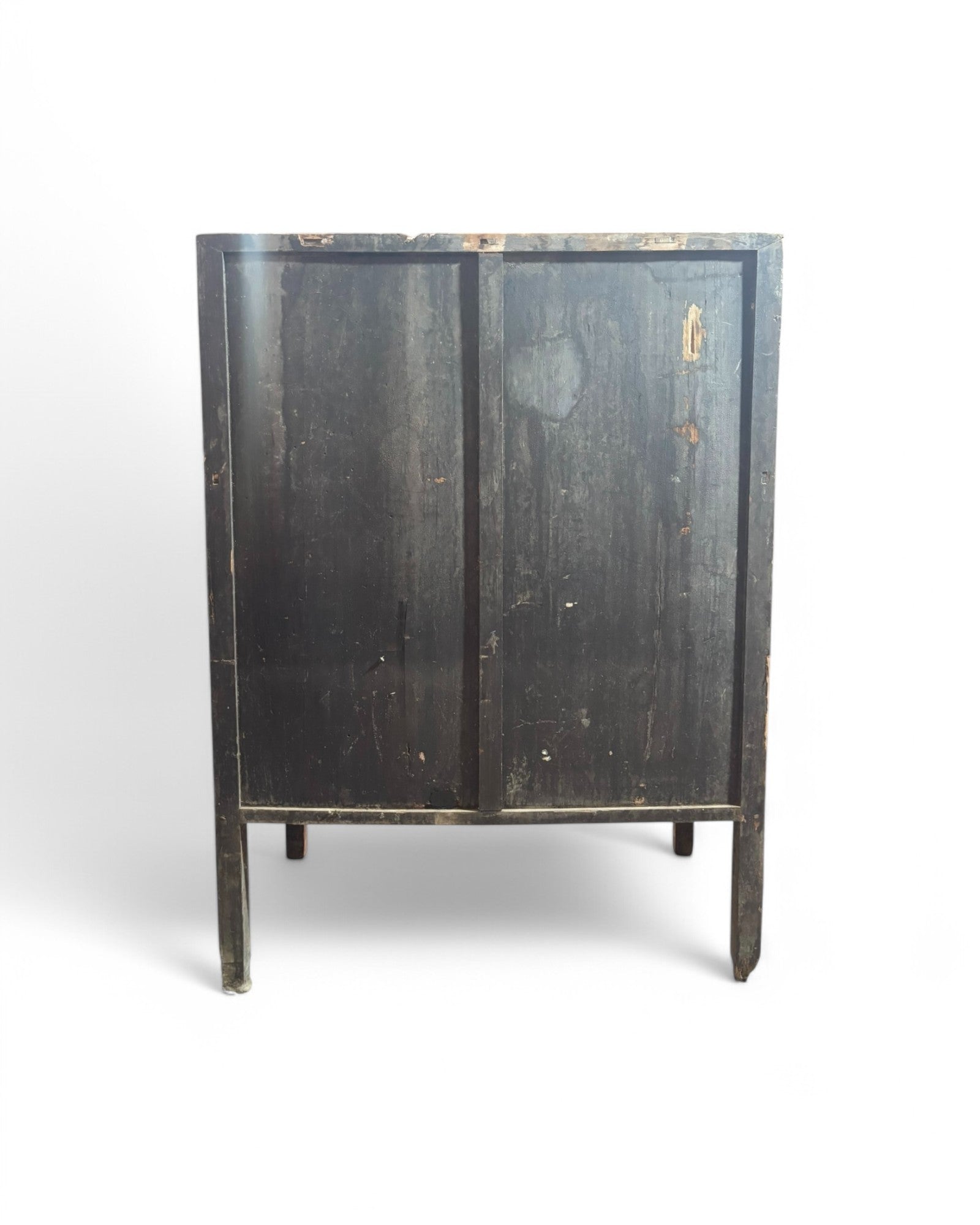 19th Century Antique Chinese Medicine Cabinet with Preserved Hand-Calligraphic Labels