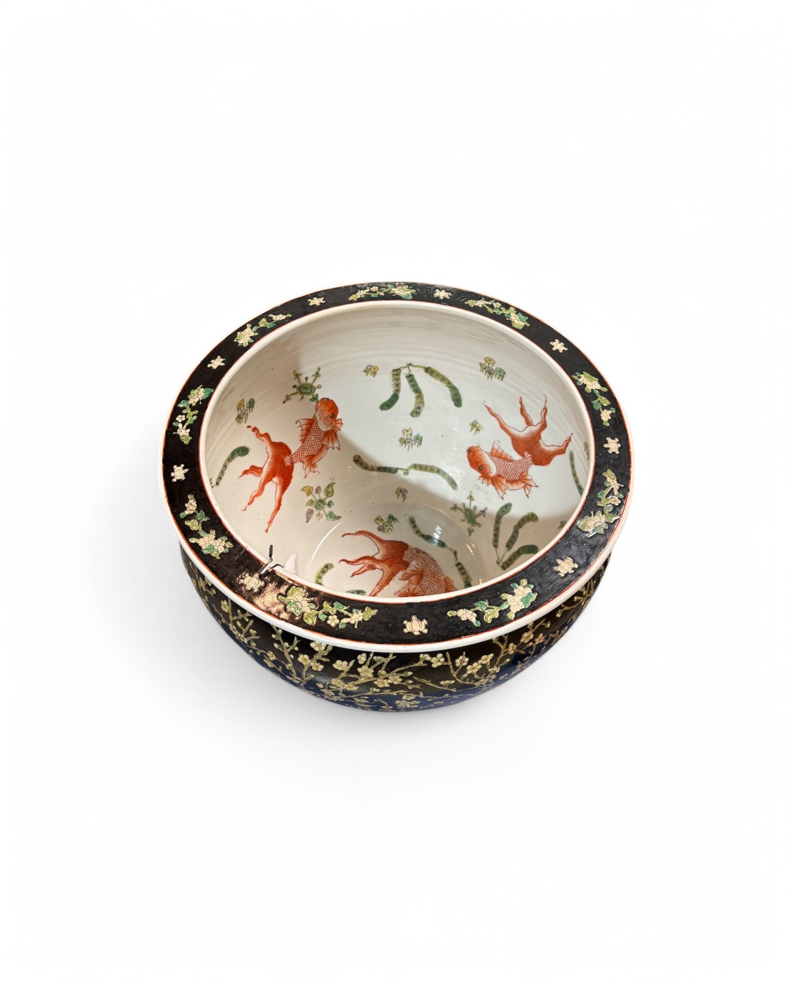 Indo Chine Sakura, Carp Pot
