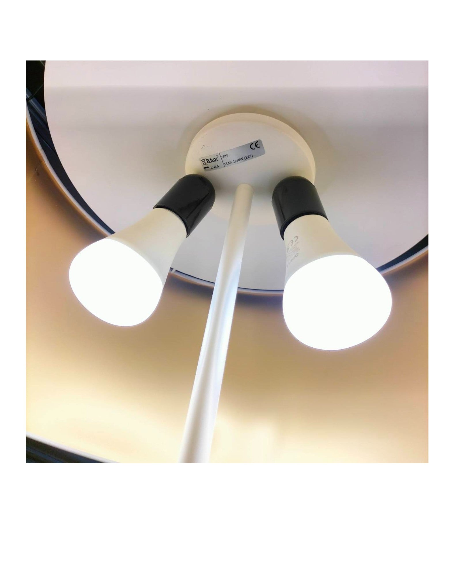 Lola F Floor Lamp by B.Lux Design by B.Lux - Original