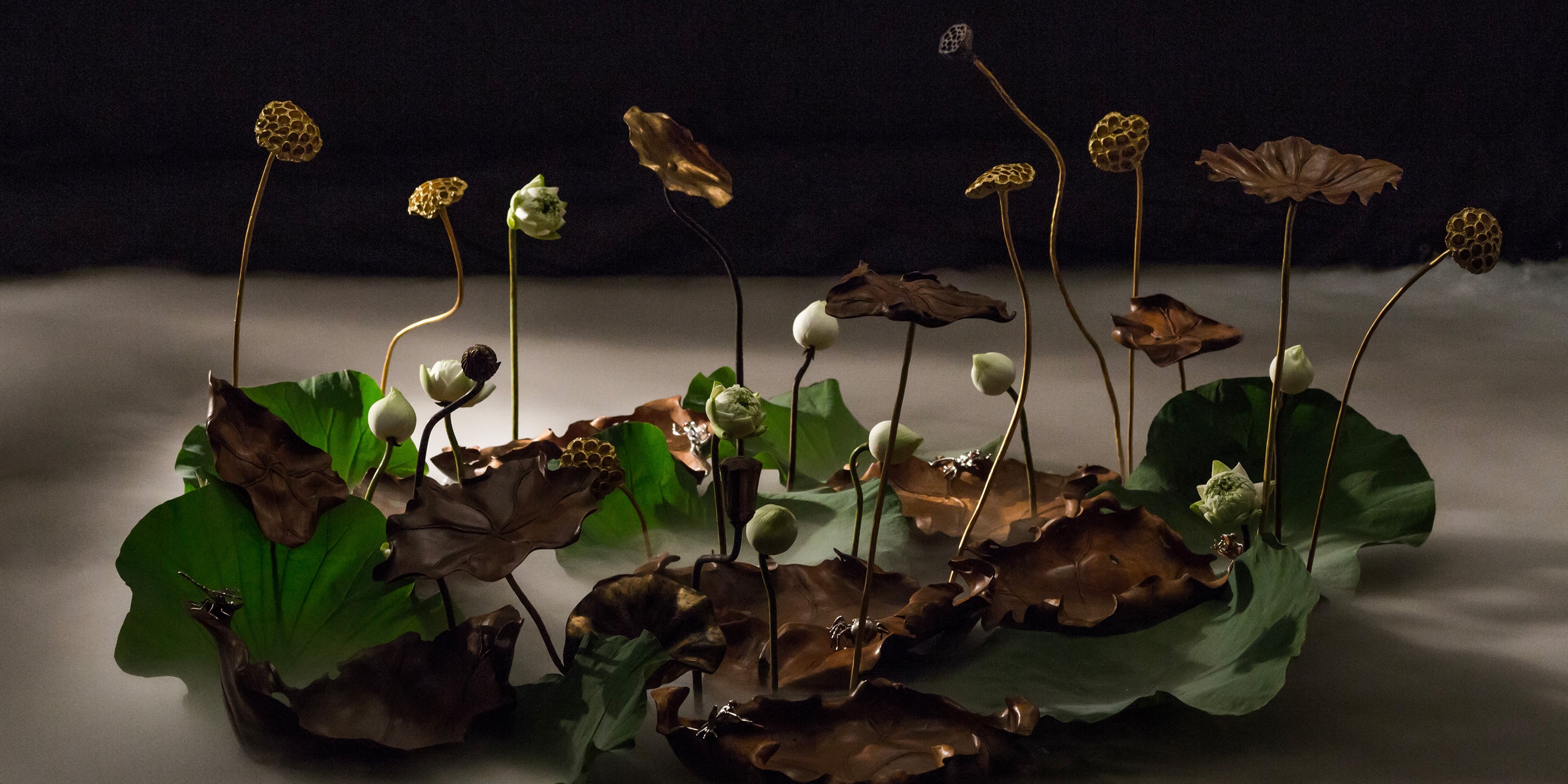 Artistic display of lotus leaves and seed pods with bronze and green hues, set against a dark background. The scene is tranquil and evocative.