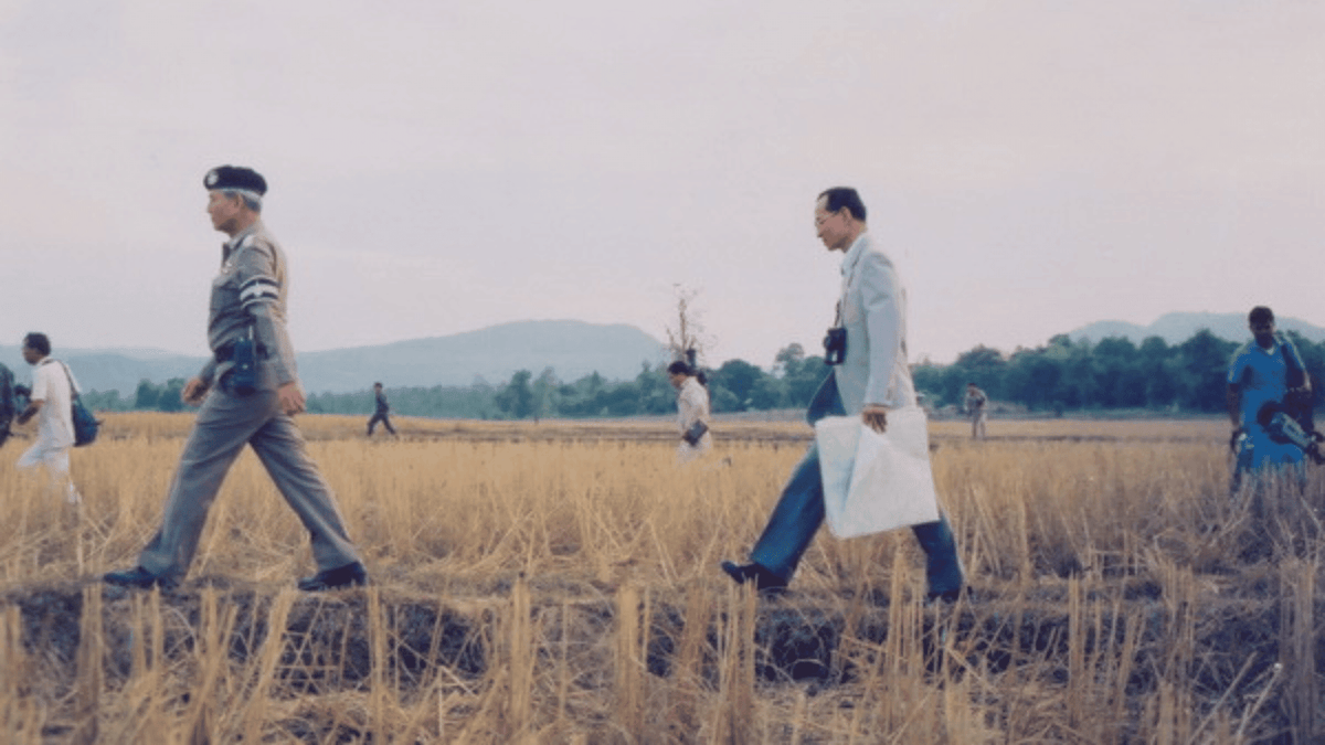 The Royal Project: The Legacy of Land, Life & Craft - Surround Living