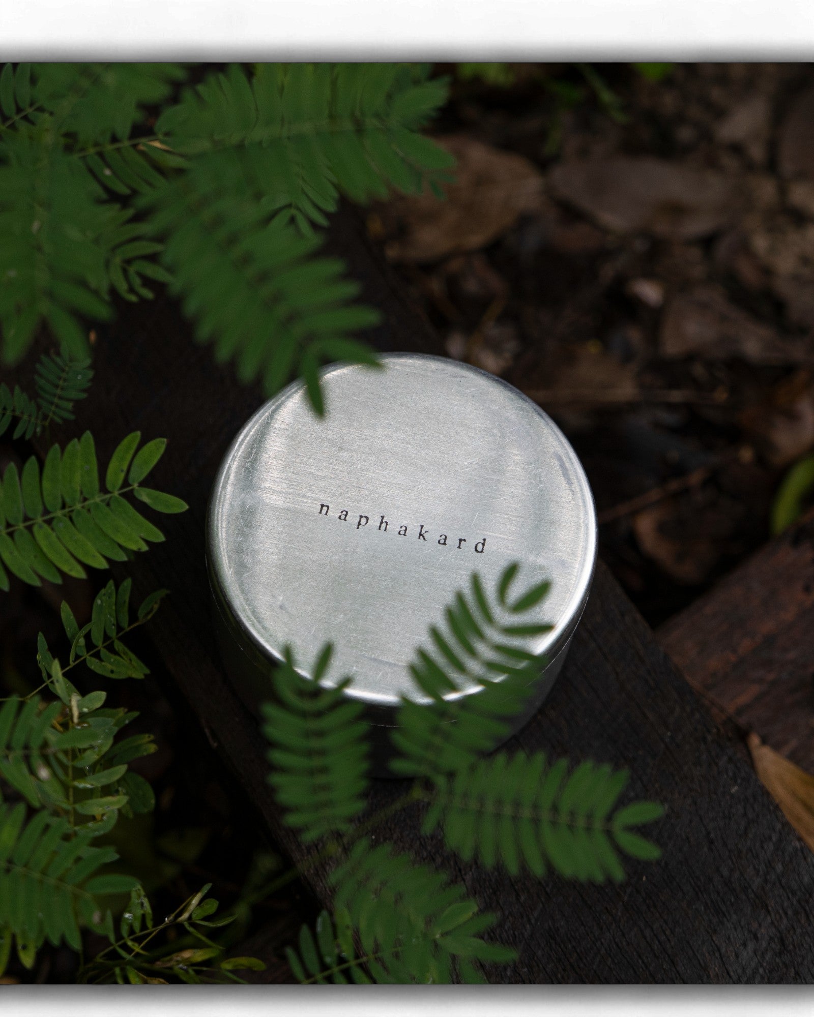 ป่าฝน (Rainforest) Crafted Scented Candle (M) 100g - Surround Living - 5
