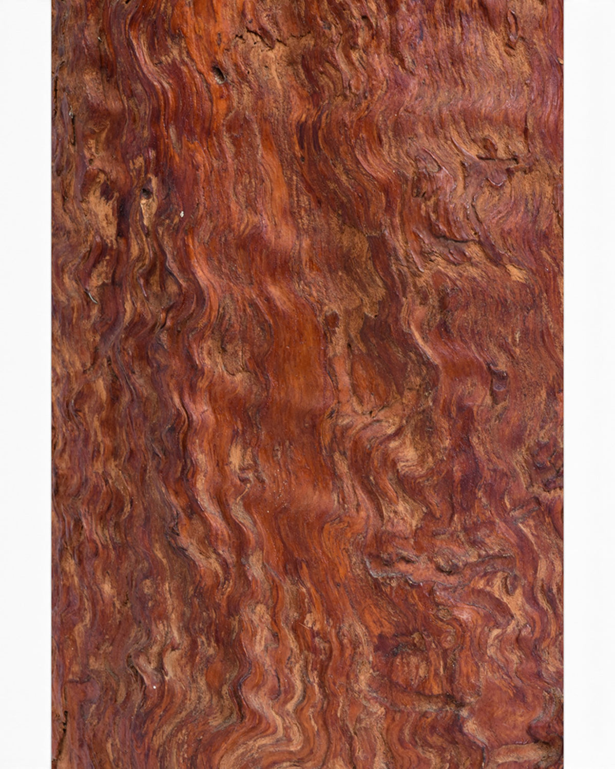 Japanese Large Burl Wood Hibachi Vessel