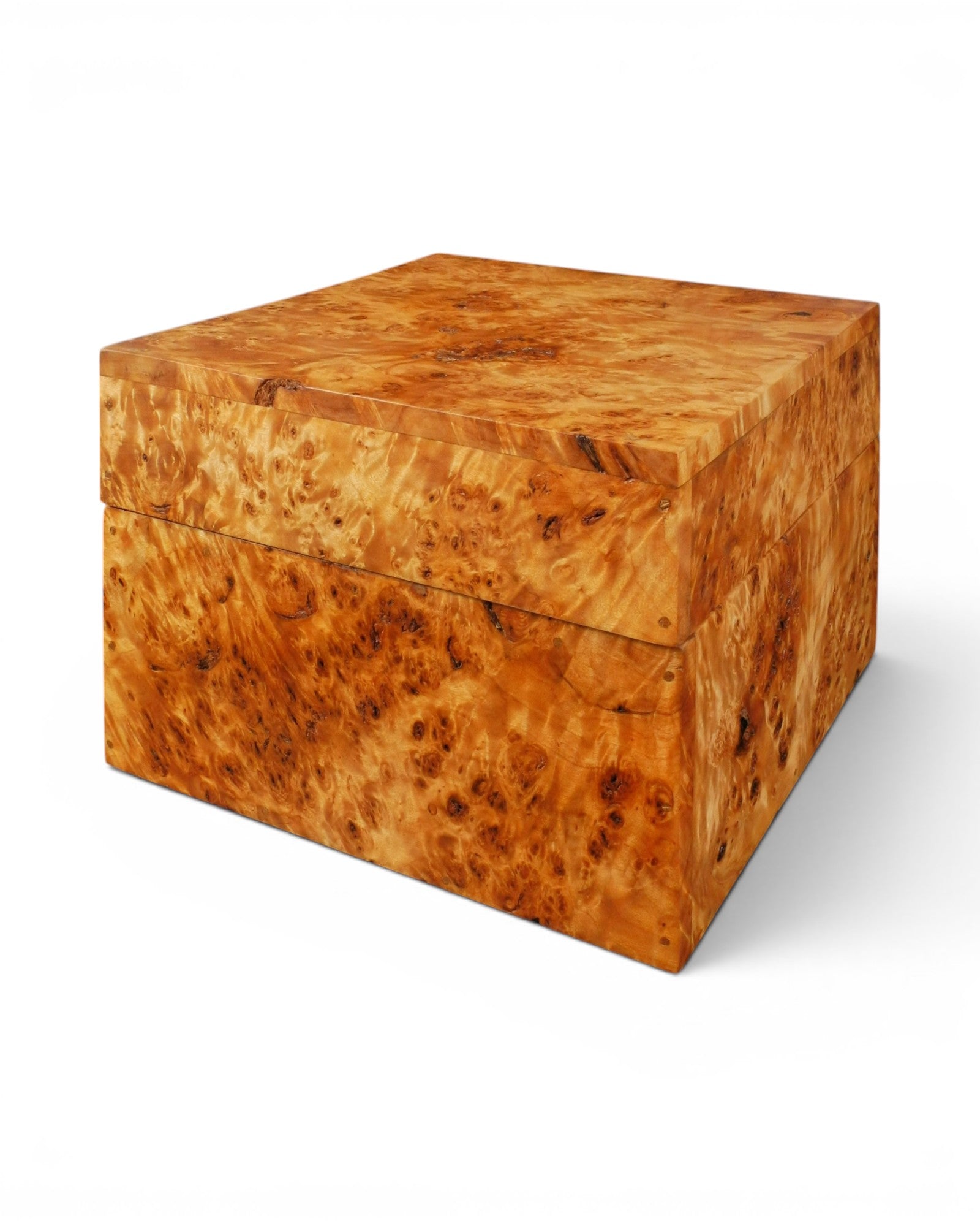 Poplar Wood Burl Box Inspired by South Sumatran Design - Surround Living - 2