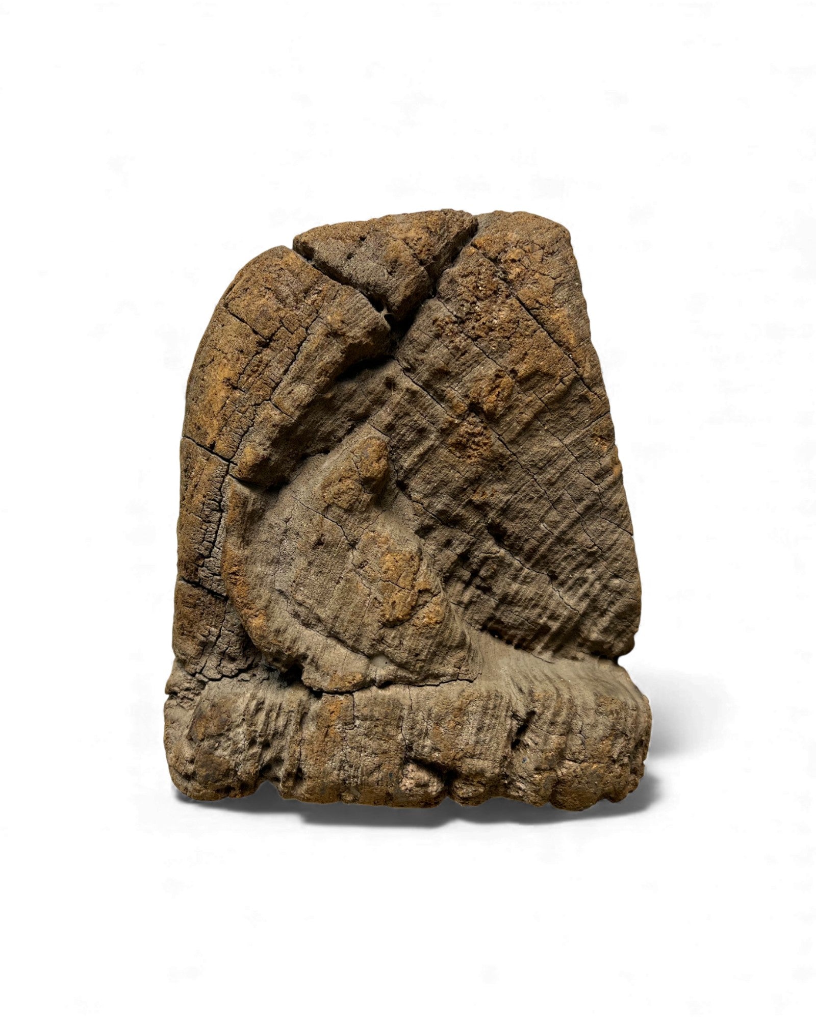 Thai Hardwood Coconut Scraper Base - Surround Living - 7