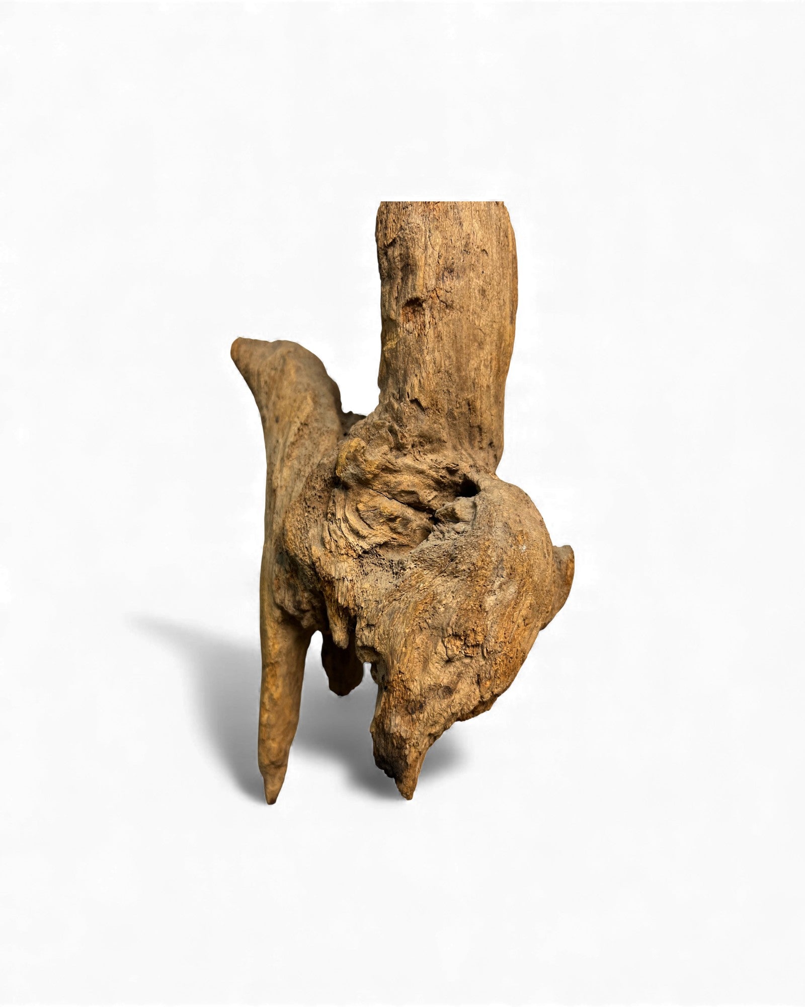 Chin Totem Fragment Depicting Man on Horse 1 - Surround Living - 6