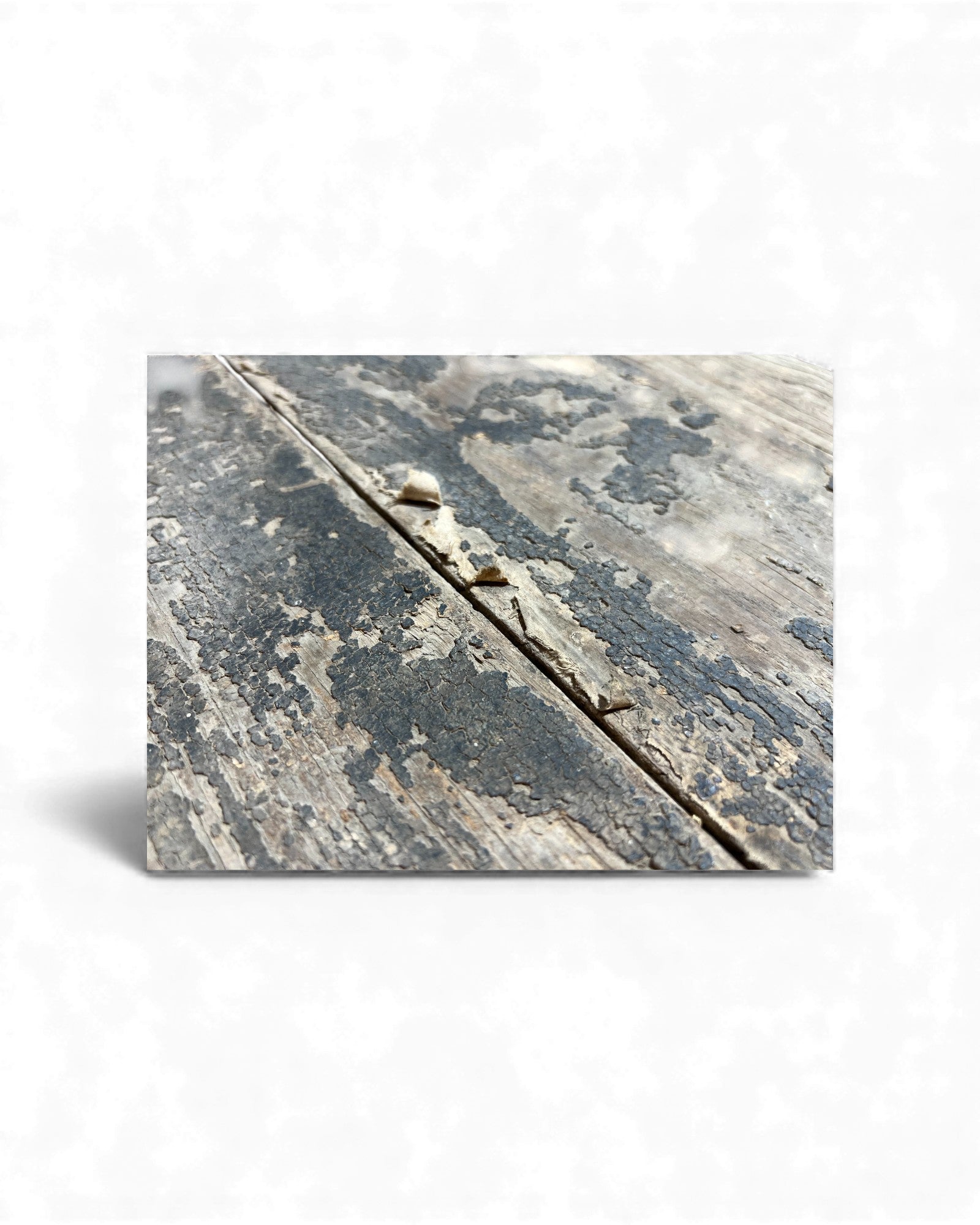 Chinese Carved Coffer with Traces of Red & Black Lacquer, Elm Wood - Surround Living - 50