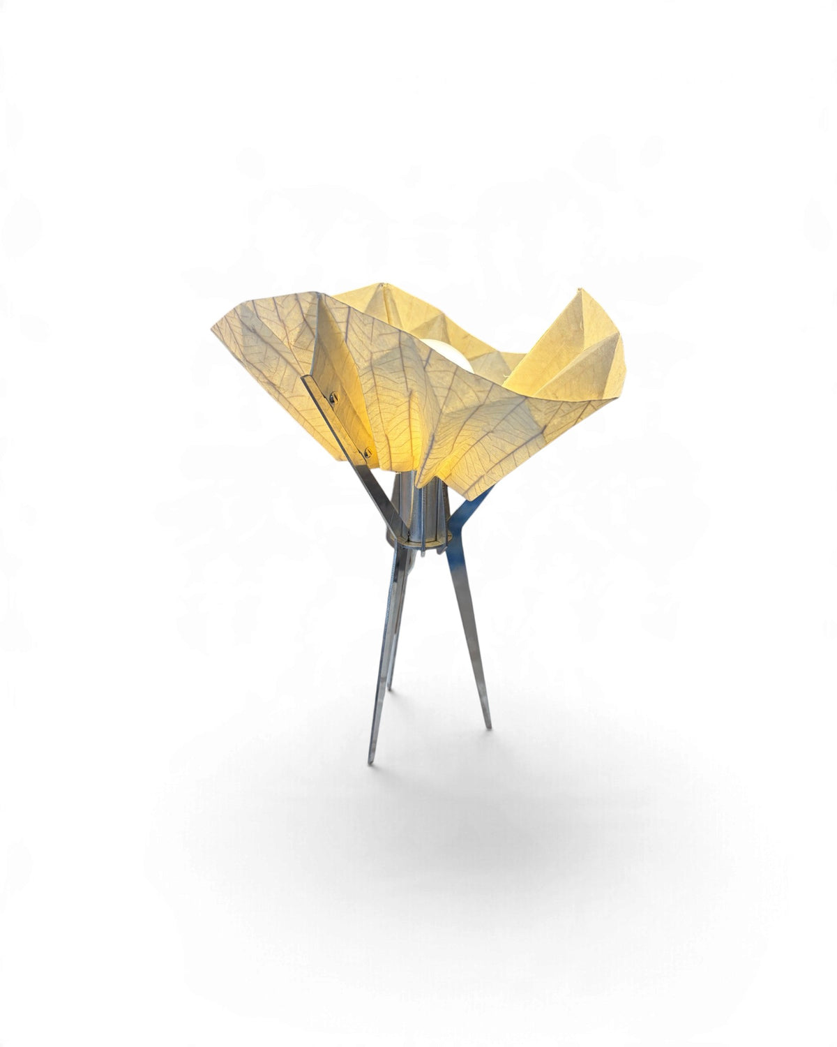MAKKHA - Tarn Table Lamp