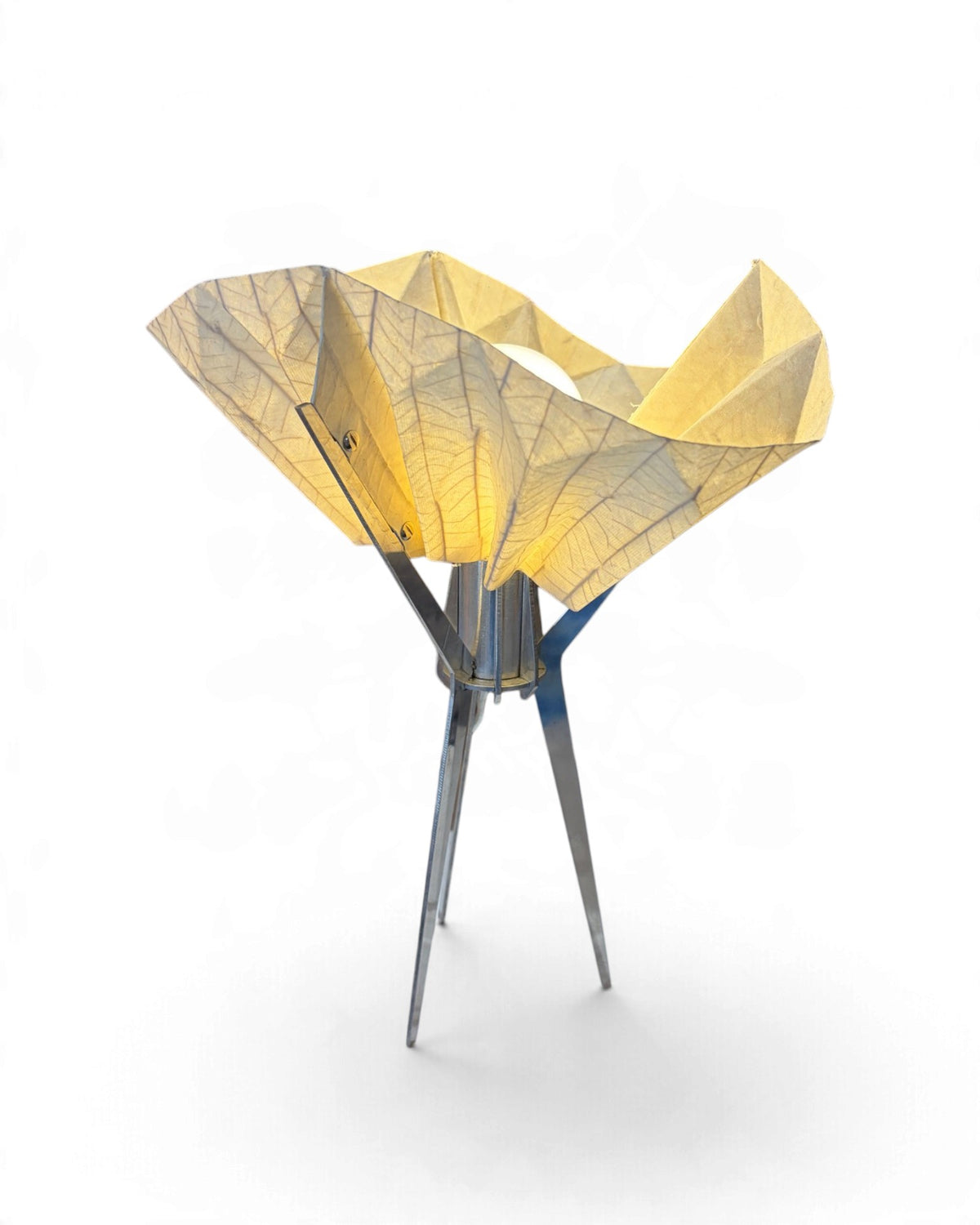 MAKKHA - Tarn Table Lamp