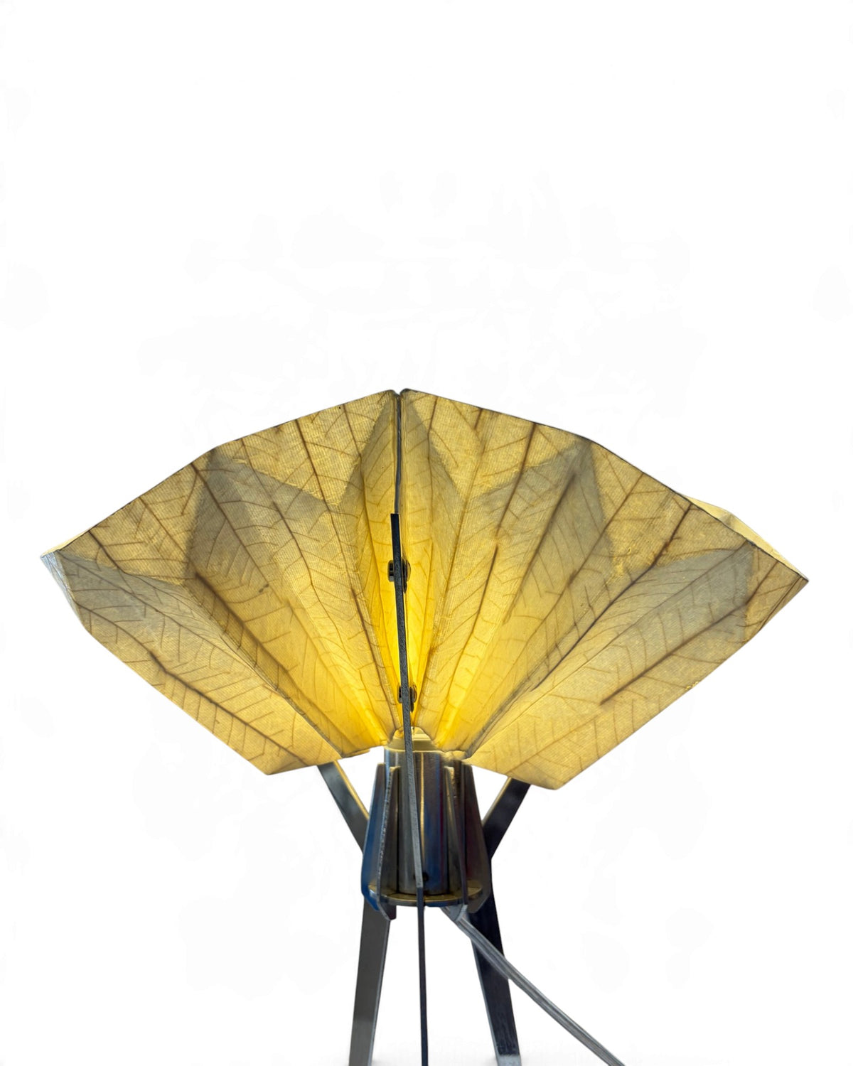 MAKKHA - Tarn Table Lamp