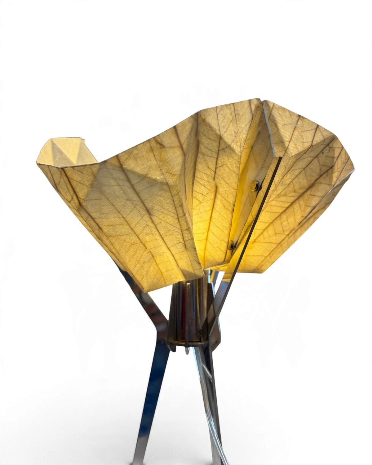 MAKKHA - Tarn Table Lamp