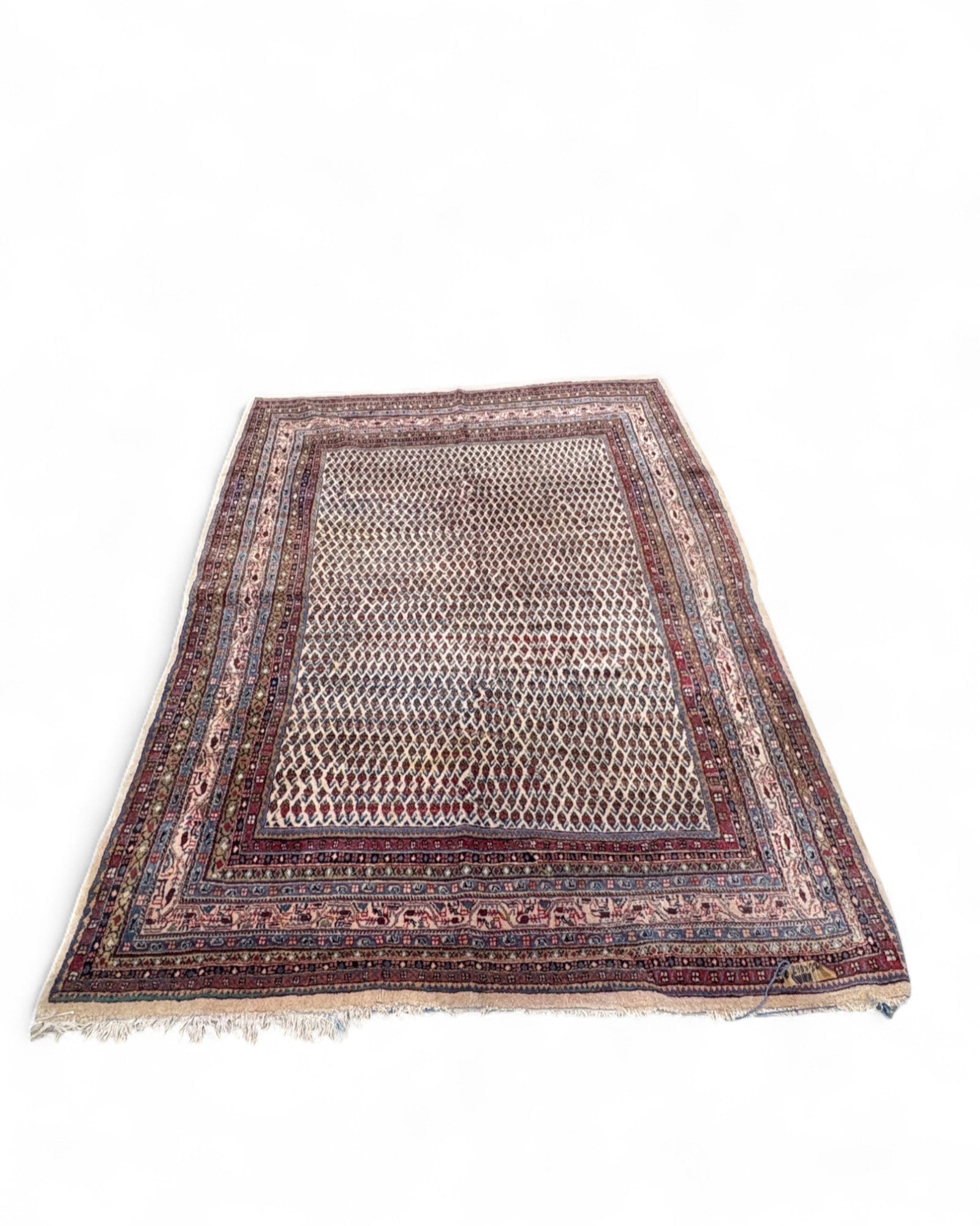 Vintage Lattice Field Wool Rug‚ India | 207 x 296cm