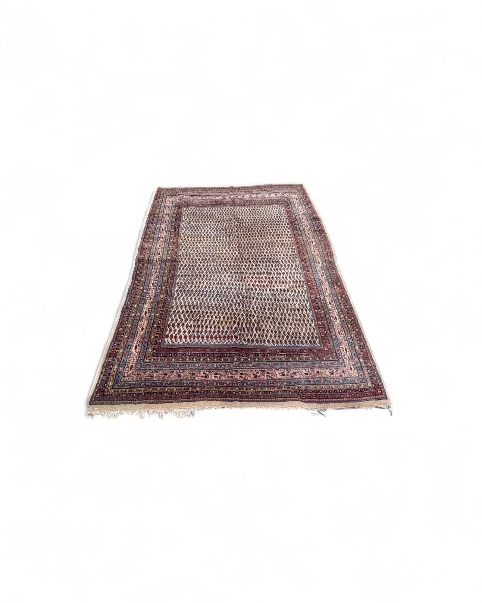 Vintage Lattice Field Wool Rug – India | 207 x 296cm