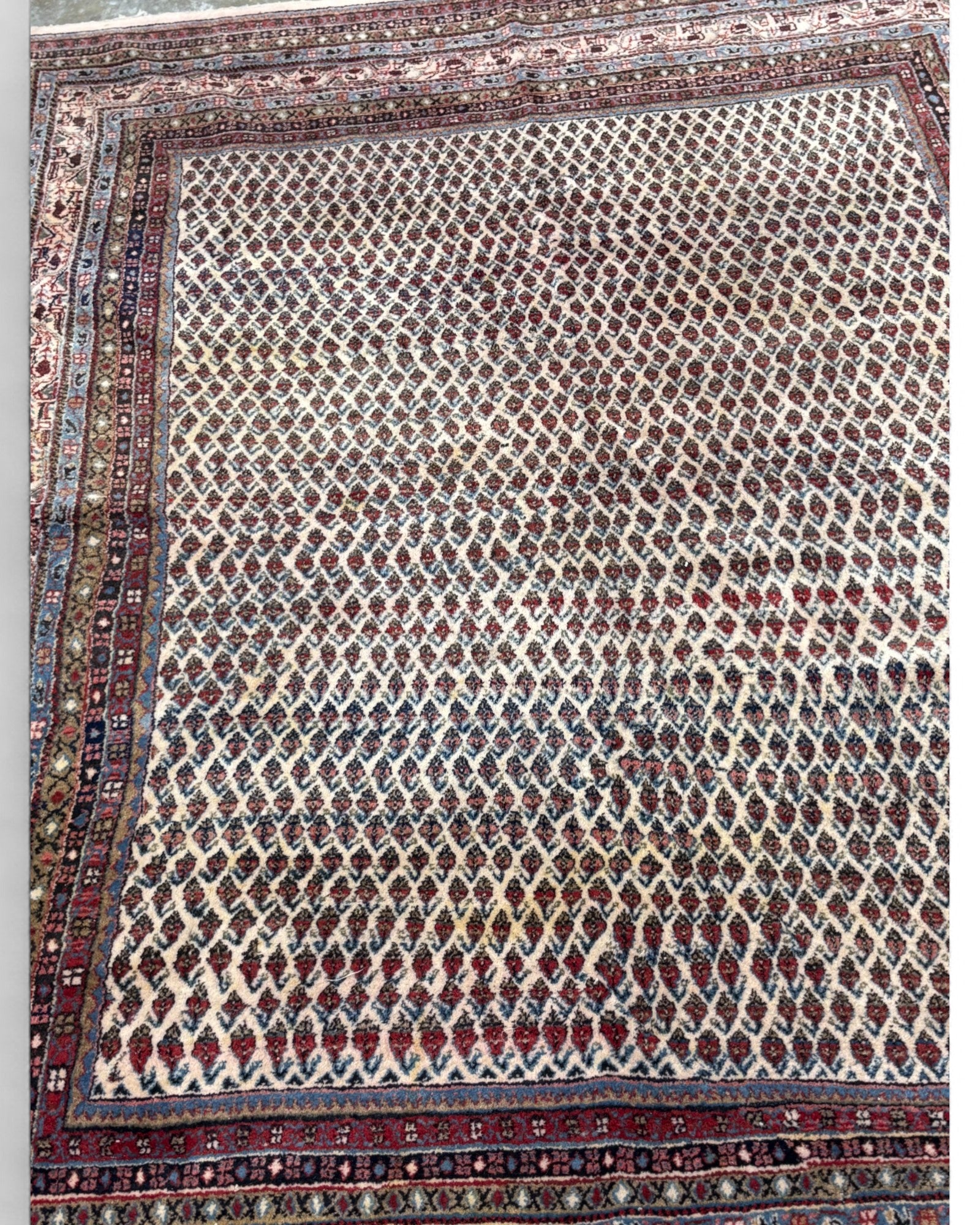 Vintage Lattice Field Wool Rug‚ India | 207 x 296cm