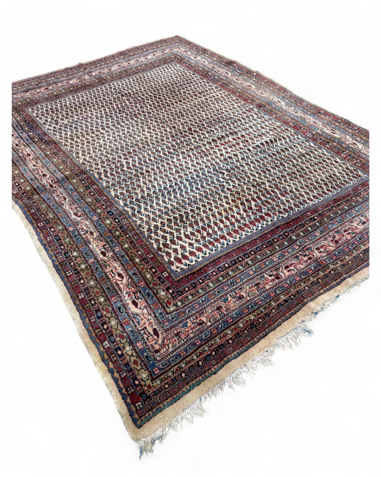 Vintage Lattice Field Wool Rug – India | 207 x 296cm