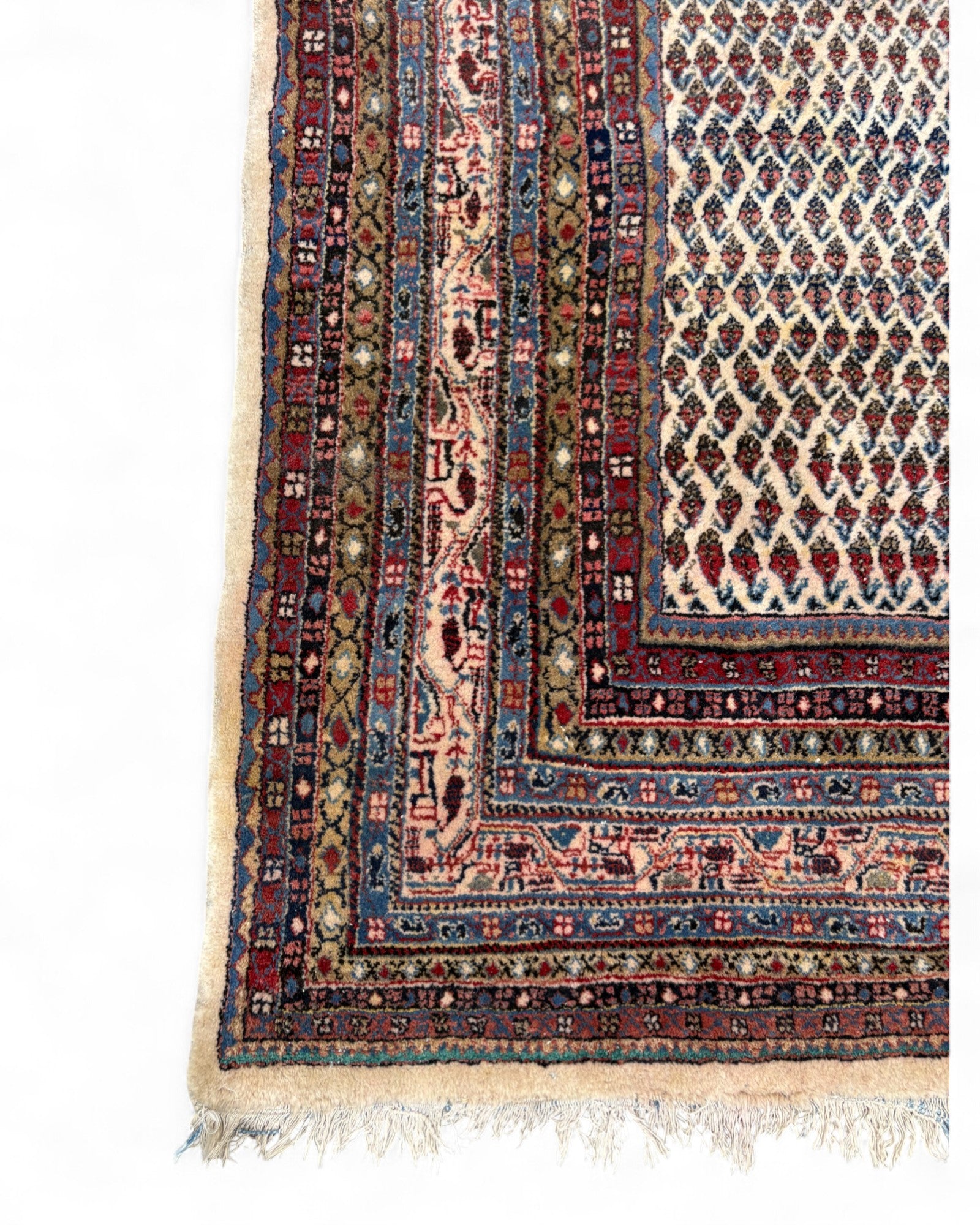 Vintage Lattice Field Wool Rug‚ India | 207 x 296cm