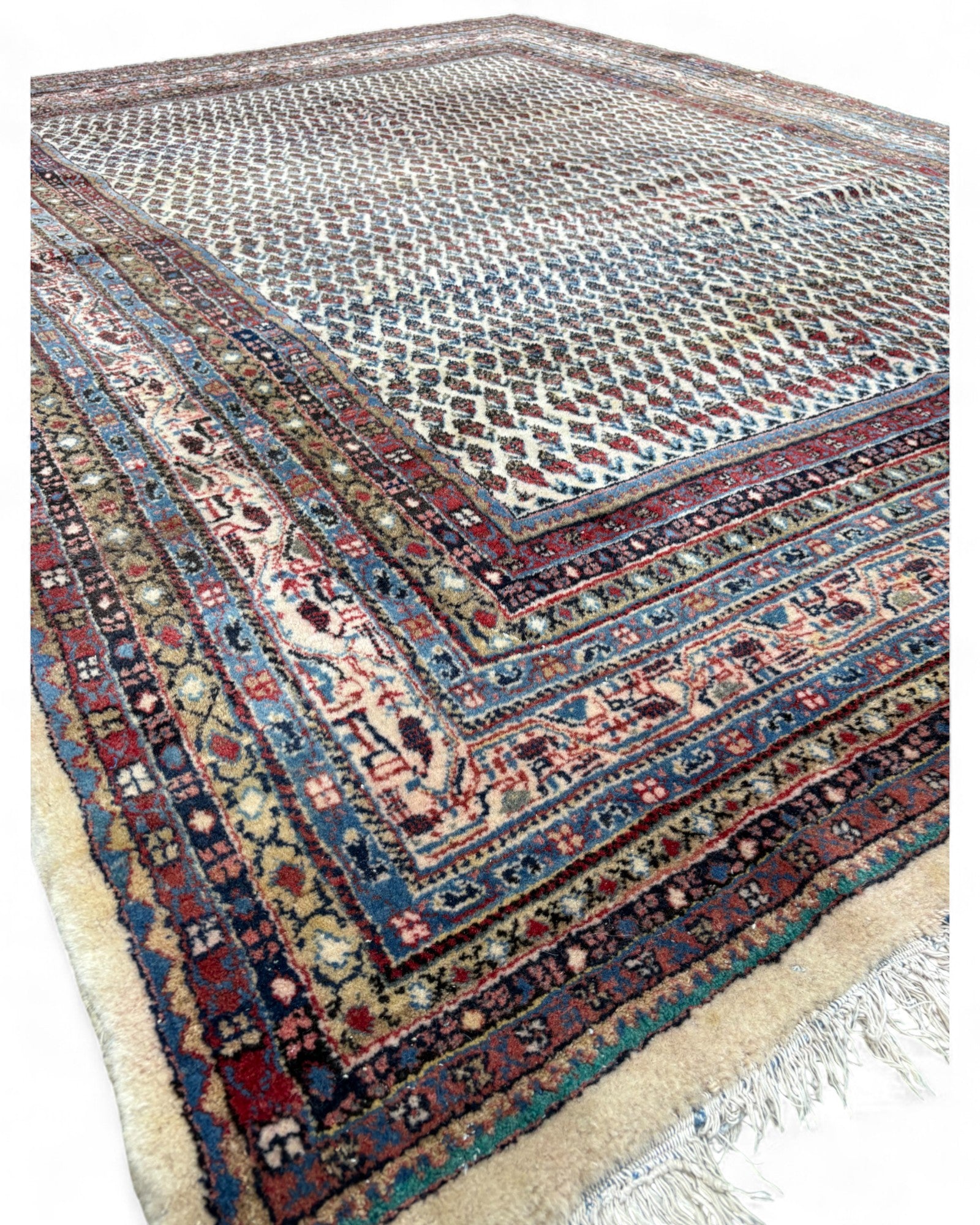 Vintage Lattice Field Wool Rug‚ India | 207 x 296cm