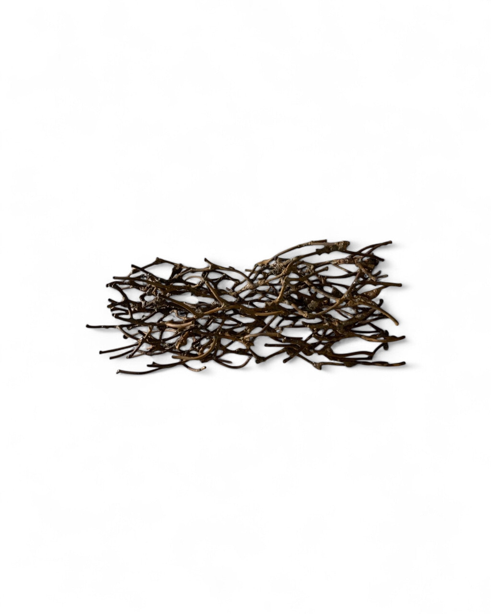 Synaptica Steel Wire Sculpt