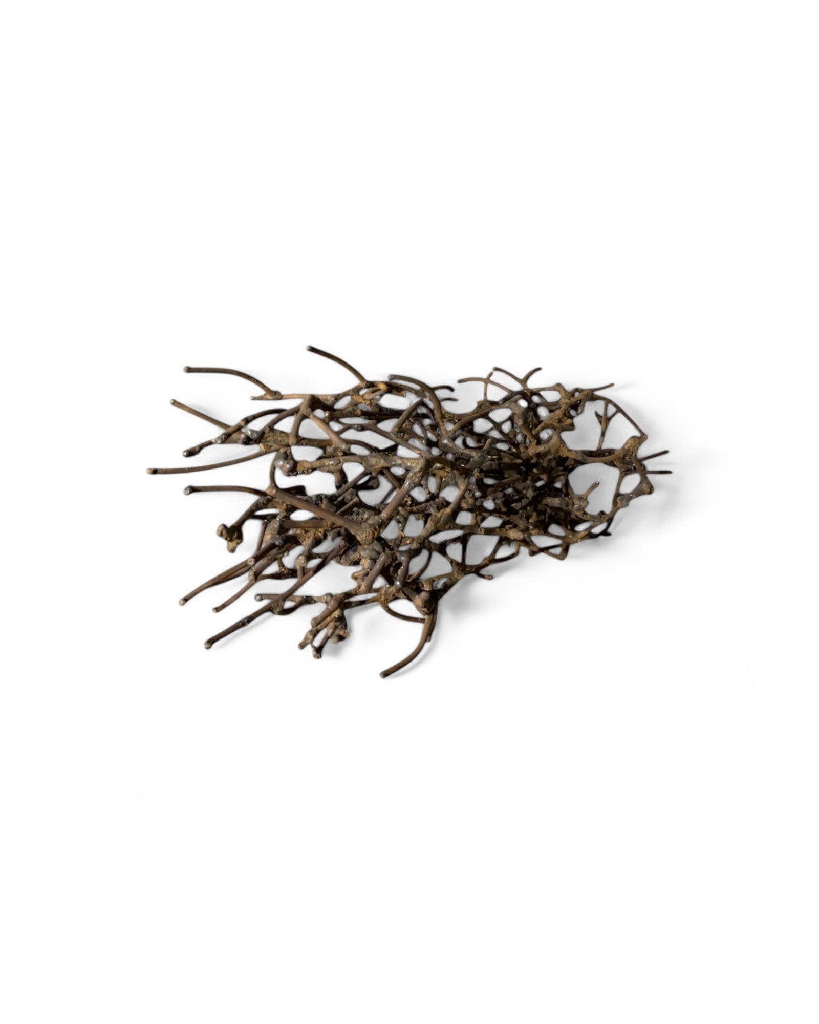 Synaptica Steel Wire Sculpt