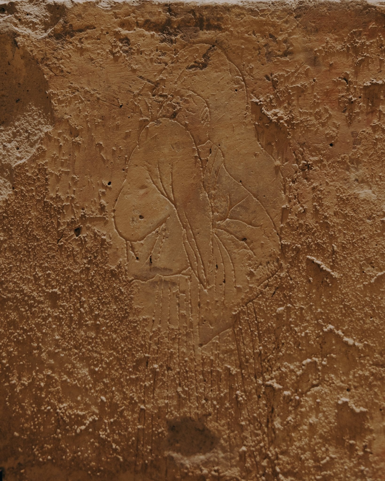 Chinese Terracotta Relief Tile Fragment - Surround Living - 17